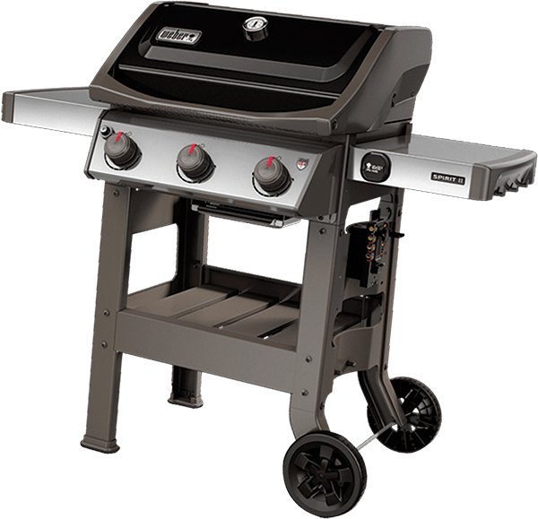 Webster_grill